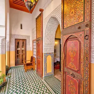 باليه تنميل رياد